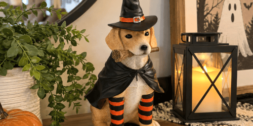 GO! Halloween Decor UNDER $10 + FREE Shipping on Marshalls.com