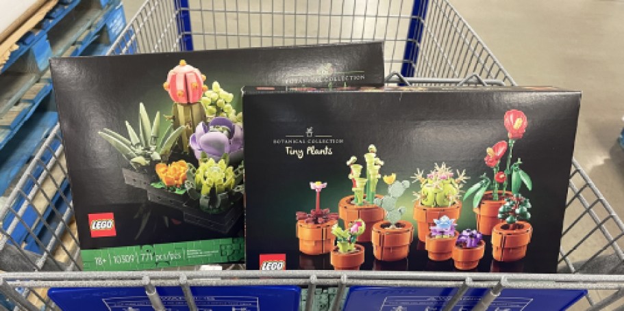 LEGO Botanical Sets Are Blooming at Their Lowest Prices Ever
