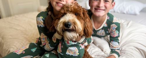 Children wearing matching Christmas pajamas with their dog