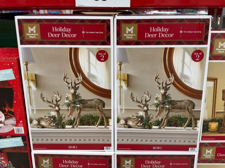Member's Mark Holiday Deer D&eacute;cor boxes in store
