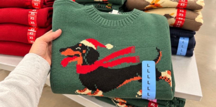 Women’s Icon Sweaters Only $17.98 on SamsClub.com (Ralph Lauren Look for Less!)