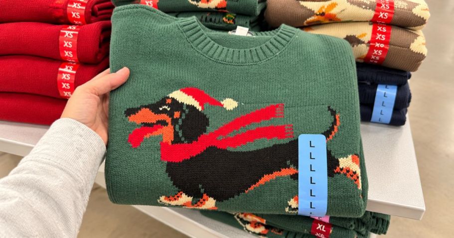 Women’s Icon Sweaters Only $17.98 on SamsClub.com (Ralph Lauren Look for Less!)