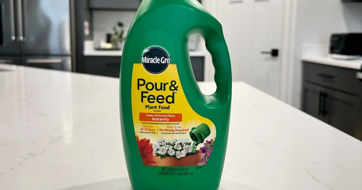 Up to 40% Off Scotts Miracle Gro Products on Amazon (Pour & Feed Just $6 Shipped)