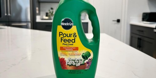 Up to 40% Off Scotts Miracle Gro Products on Amazon (Pour & Feed Just $6 Shipped)