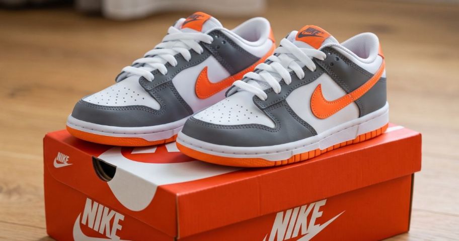 Nike Kids Dunks on a Nike Shoe Box