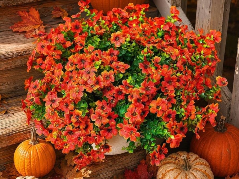 Orange flowers inside of a vase on the steps