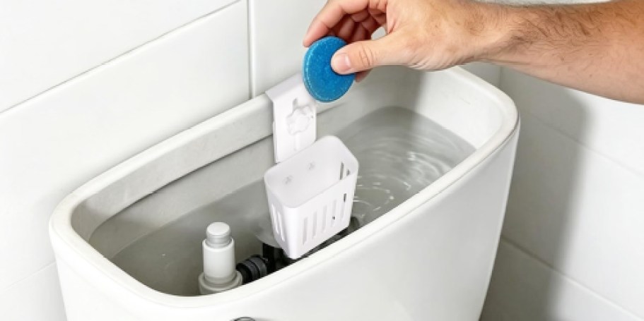 Toilet Tank Cleaning Tablet Holder 2-Pack Just $7.99 on Amazon (Viral on TikTok)