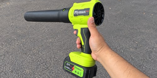 Cordless Leaf Blower Set w/ 2 Batteries Just $35.99 Shipped on Amazon (Reg. $101)