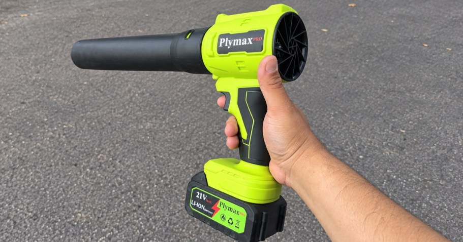 Cordless Leaf Blower Set w/ 2 Batteries Just $35.99 Shipped on Amazon (Reg. $101)