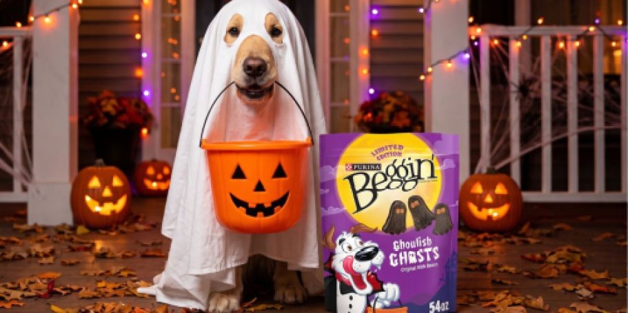 HUGE Bag of Purina Beggin’ Halloween Dog Treats Only $12.98 at Sam’s Club