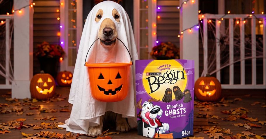 HUGE Bag of Purina Beggin’ Halloween Dog Treats Only $12.98 at Sam’s Club