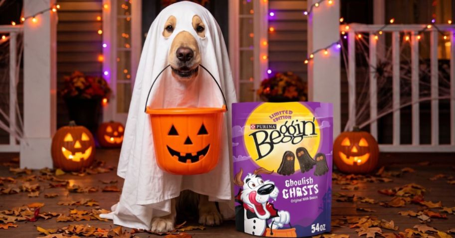Dog dressed as ghost next to a huge bag of Purina Beggin Ghoulish Ghost Treats