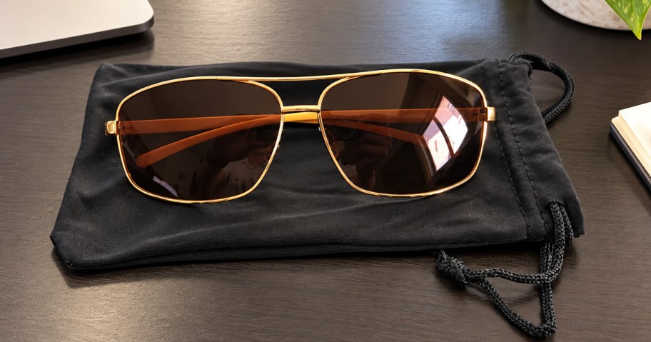 pair of brown and gold sunglasses on their cleaning cloth bag