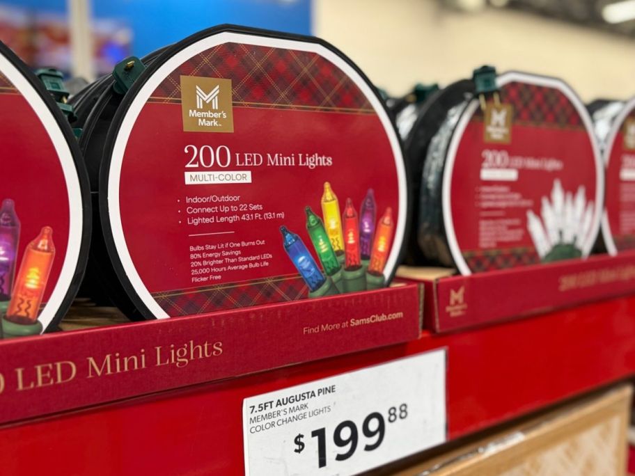Sam's Club LED Mini Lights