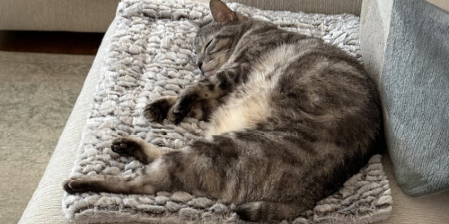 Self-Warming Pet Bed Just $13.79 on Amazon (Regularly $23)