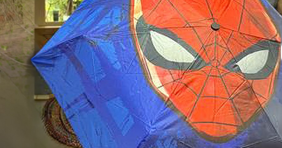 Spiderman Umbrella