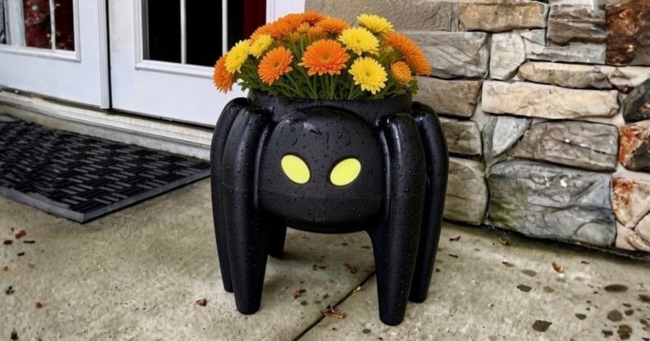 Step2 Spooky Spider & Pumpkin Planters Only $31.49 on Amazon (Reg. $45)