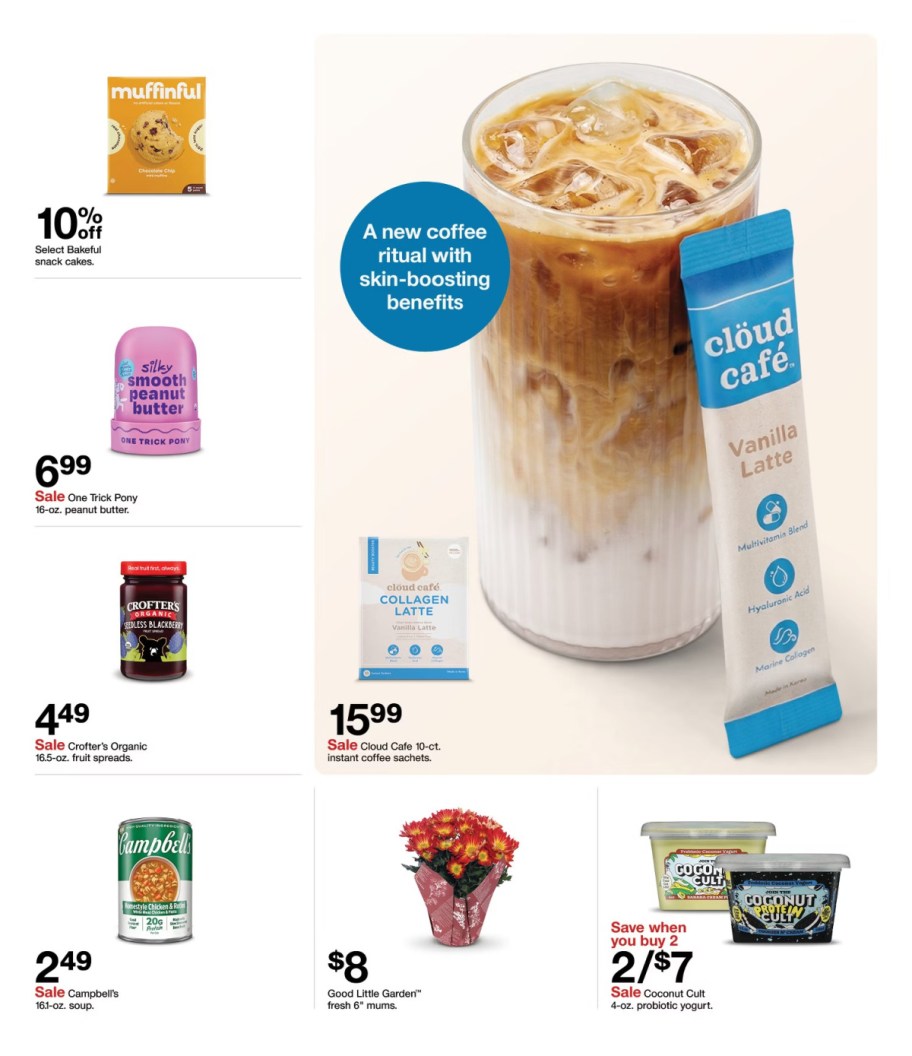 page from Target ad