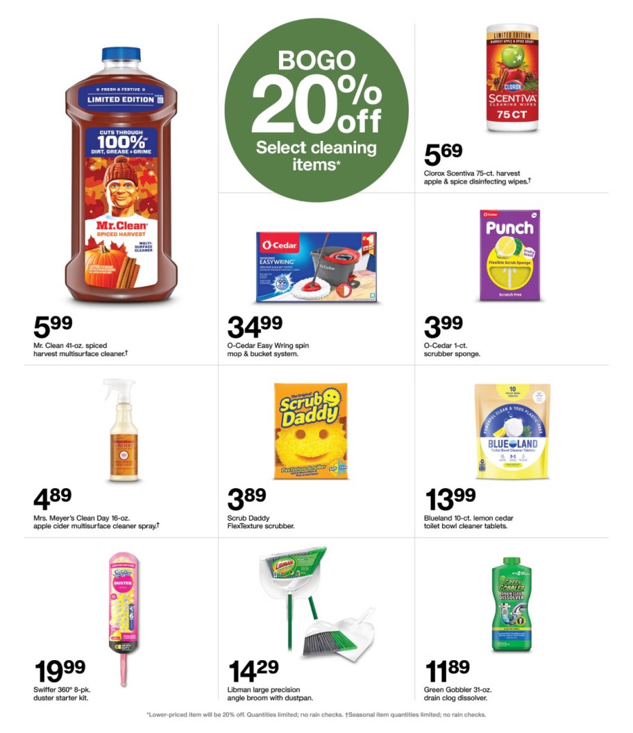 page from Target ad