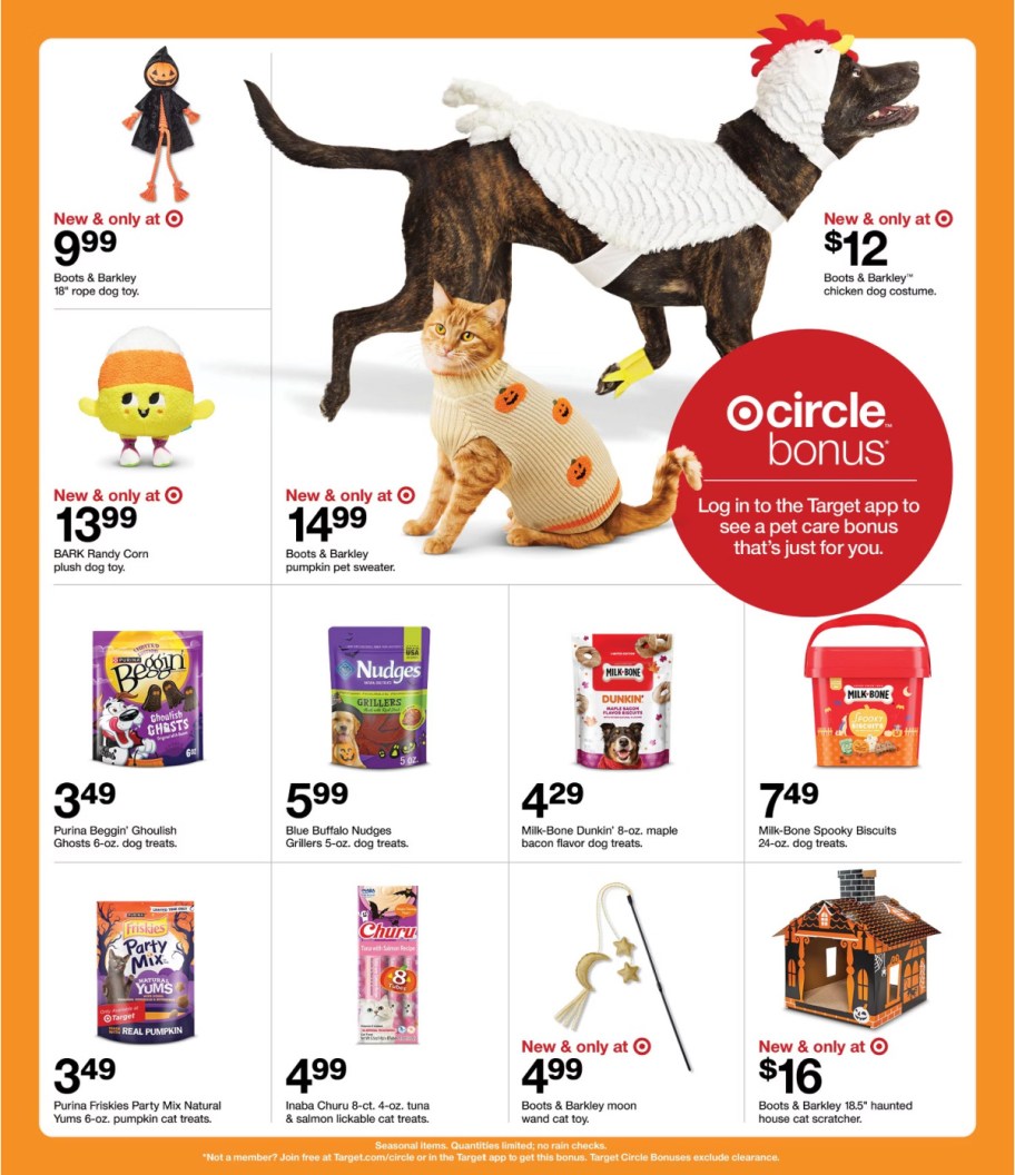 page from Target ad