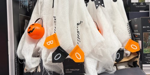 New ALDI Finds: Halloween & Fall Decor, Toys, Disney Bags, & More