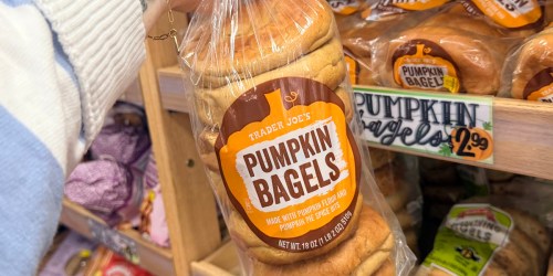 NEW Trader Joe’s Fall Finds Are Here | Everything Pumpkin!