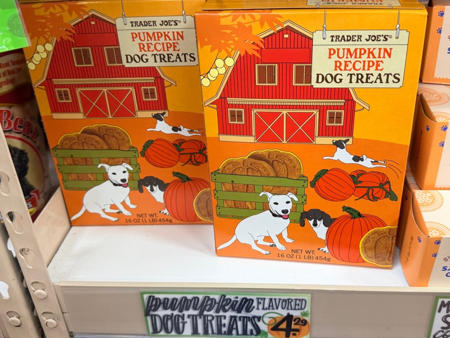 Trader Joe's Pumpkin Recipe Dog Treats