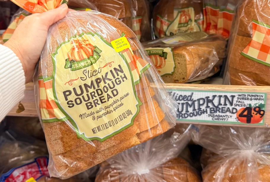 Trader Joe's Pumpkin Sourdough Bread