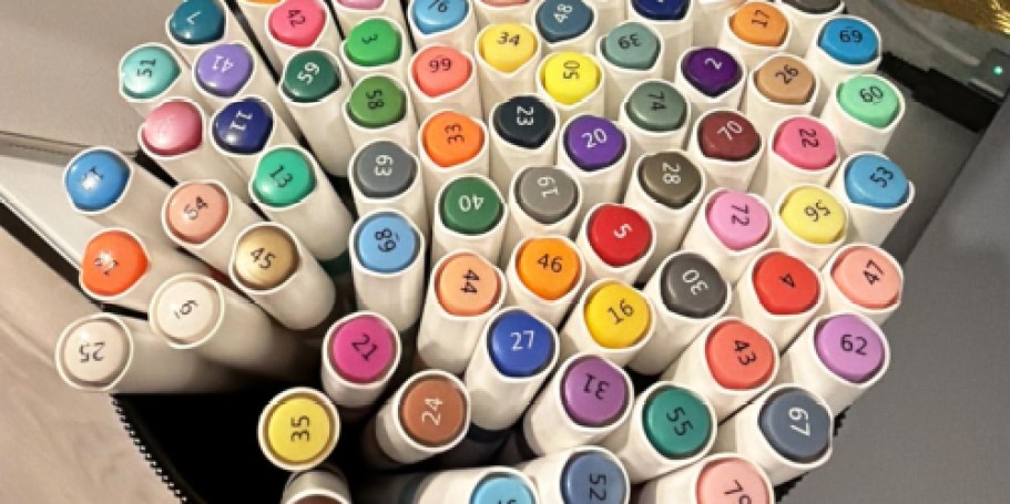 Dual Tip Acrylic Paint Markers 80-Count Just $12 Shipped on Amazon (Reg. $26)