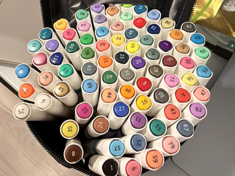 Dual Tip Acrylic Paint Markers 80-Count Just $12 Shipped on Amazon (Reg. $26)