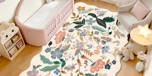 Up to 80% Off Wayfair Area Rugs + Free Shipping