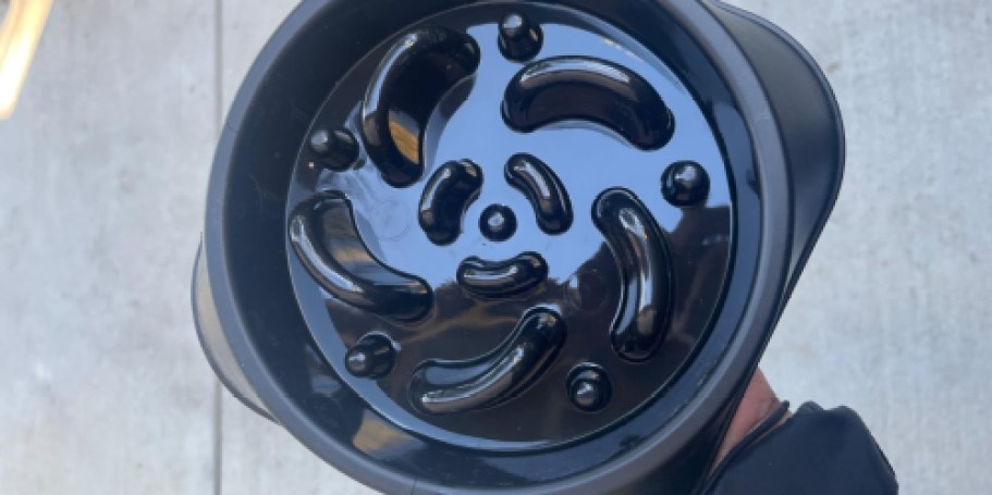 Slow Feeder Dog Bowl Only $3.99 on Amazon (Reg. $8)