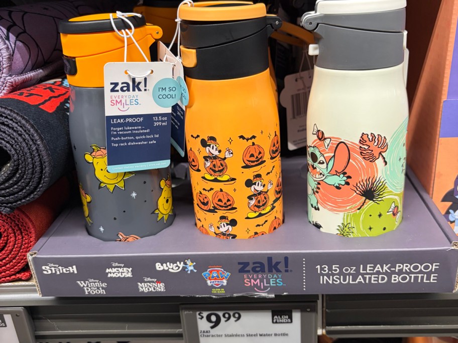 Zak! Character Stainless Steel Water Bottle