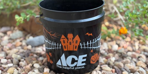 Halloween Buckets Coming Soon to Ace Hardware (And We Got a Sneak Peek!)