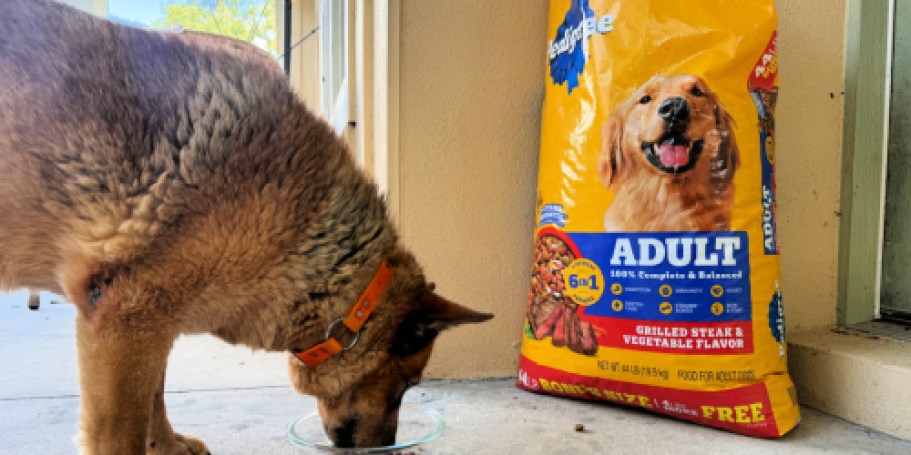 NEW Pedigree Adult Dog Food 44lb Bonus Bags at Walmart (Get 4 Extra Pounds FREE!)