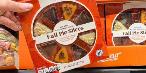 New ALDI Finds This Week = Under $10 Fall Decor, Home Goods & Kitchenware!