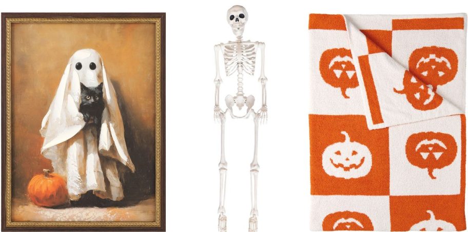 halloween art, skeleton, and blanket