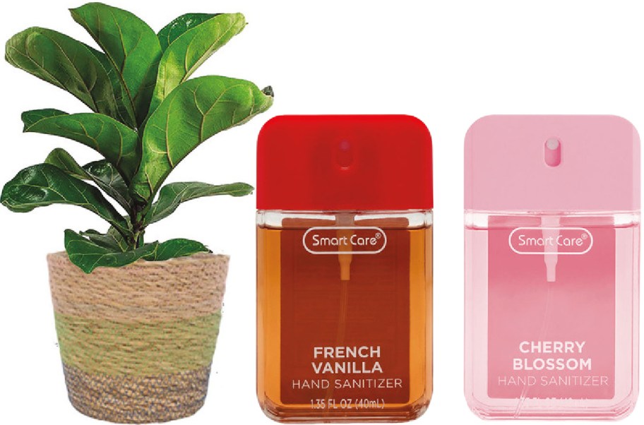 A potted faux fiddle leaf fig plant on the left, alongside two Smart Care pocket hand sanitizer spray bottles in French Vanilla and Cherry Blossom scents on the right.