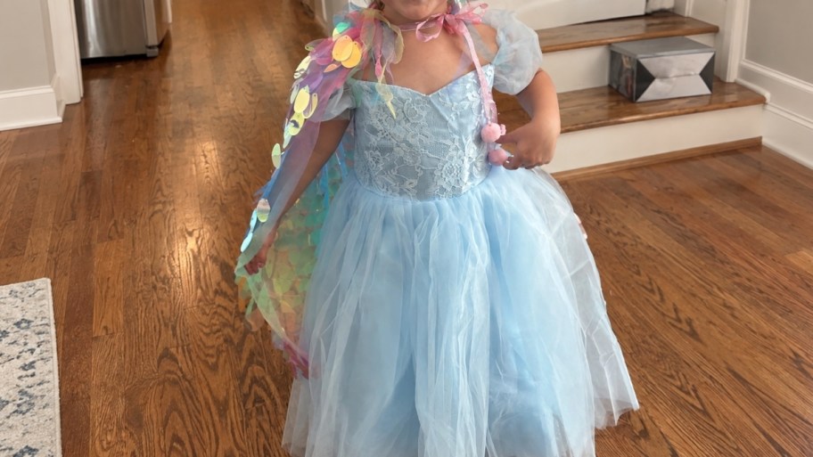 little girl in a princess dress and cape
