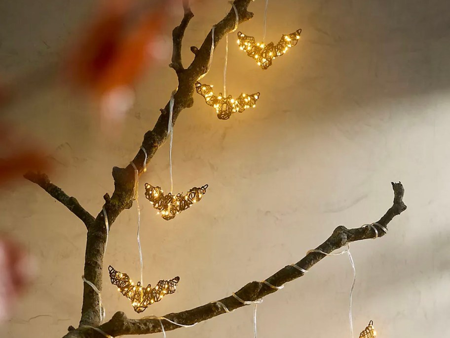 bats hanging on branch