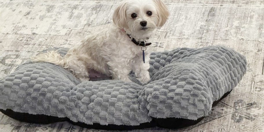 Bubble Dog Bed Just $14.99 on Amazon (Regularly $30)