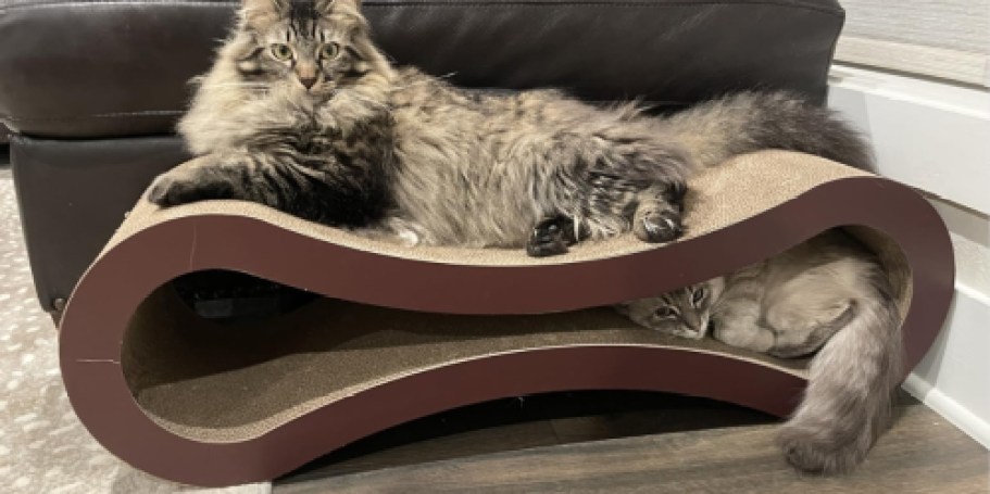 Today Only! Cat Scratcher & Lounger Just $19 Shipped (Reg. $46)