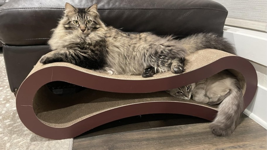 Today Only! Cat Scratcher & Lounger Just $19 Shipped (Reg. $46)