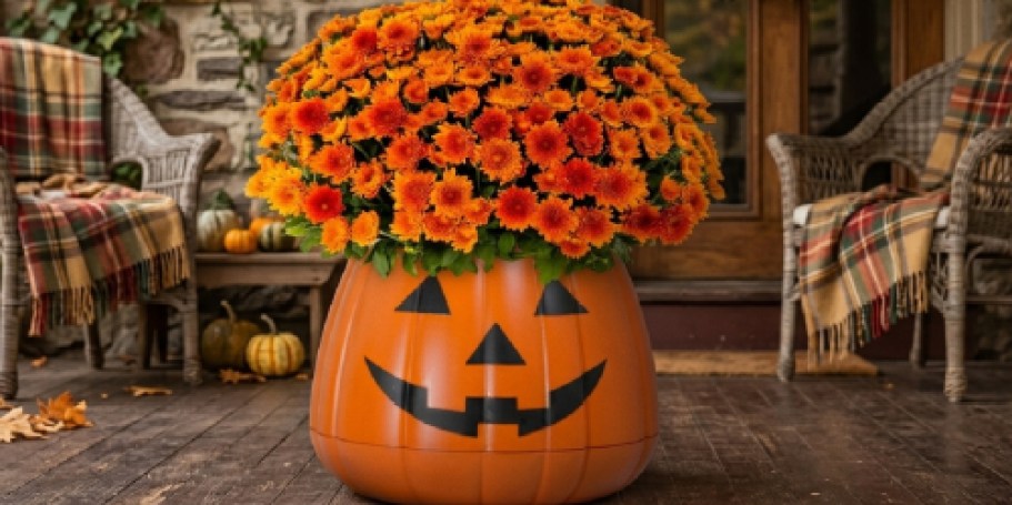 Step Up Your Fall Mum w/ a Pumpkin Planter from Walmart