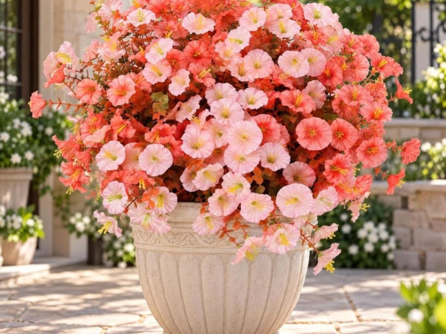 salmon color flower in a vase