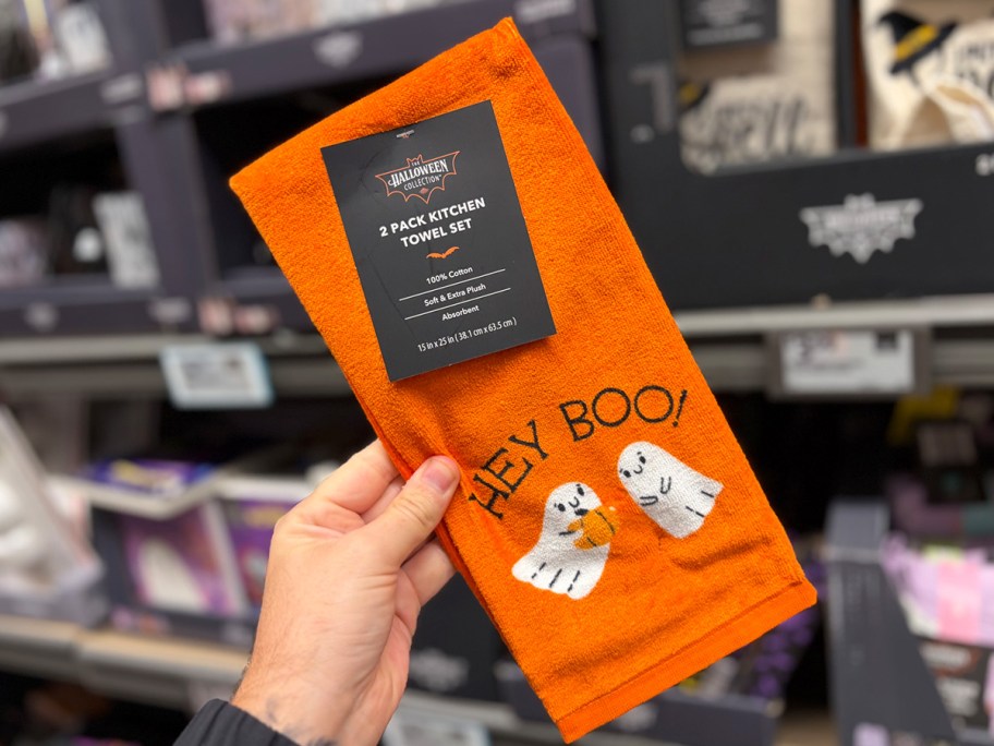 hand holding halloween dish towels 