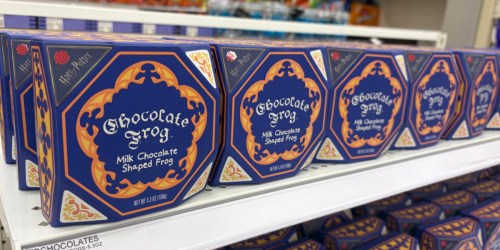 Harry Potter’s Honeydukes Has Landed at Target! Chocolate Frogs, Candy Floss & More