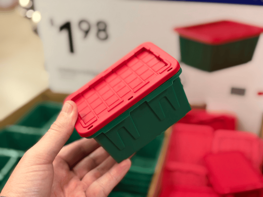hand holding a red and green mini tote