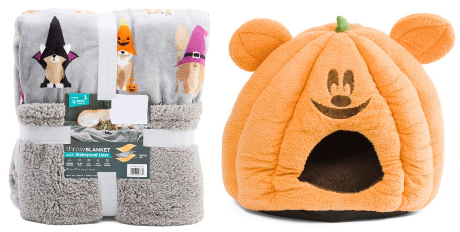 gray dog blanket, and pumpkin orange bed 