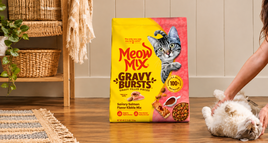 Meow Mix Cat Food 3-Pound Bag Just $3.49 Shipped on Amazon (Reg. $7)